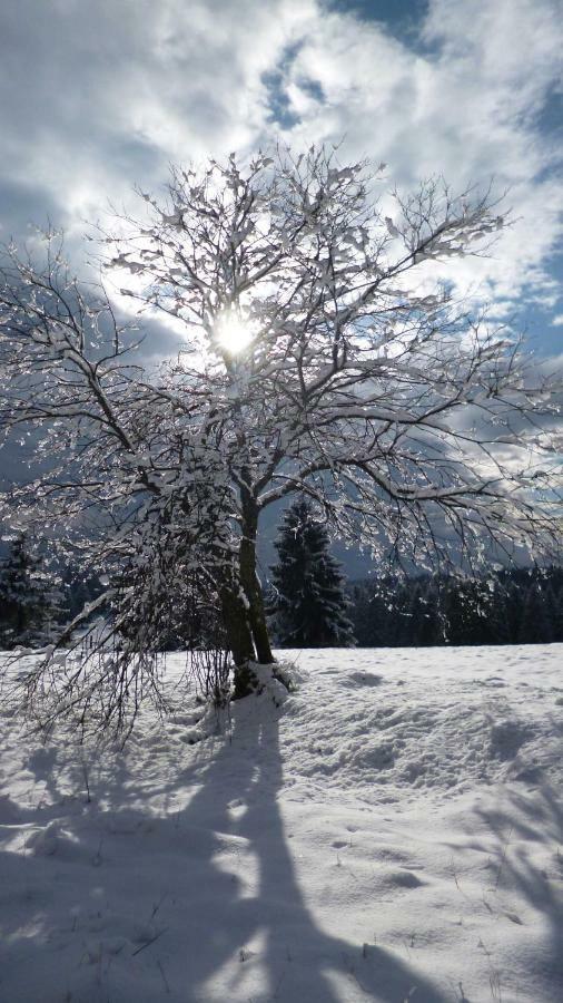 Ferienhaus Lyhs Fehrenbach Екстер'єр фото